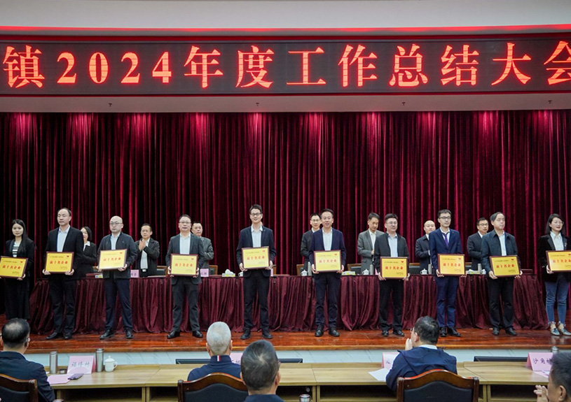 双项殊荣！！太阳集团2007网站电声荣登石排镇2024年度“双十强”榜单